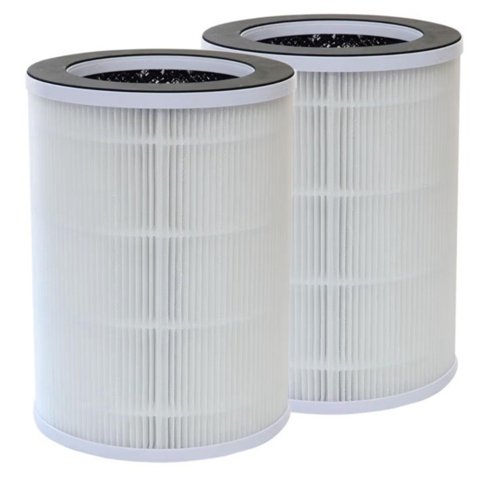 2 PUREBURG P100-RF Replacement Filters Compatible with Welov P100 P100 Pro Air